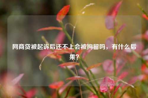 网商贷被起诉后还不上会被拘留吗，有什么后果？