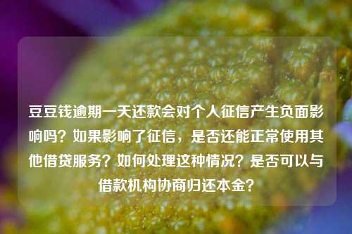 豆豆钱逾期一天还款会对个人征信产生负面影响吗？如果影响了征信，是否还能正常使用其他借贷服务？如何处理这种情况？是否可以与借款机构协商归还本金？