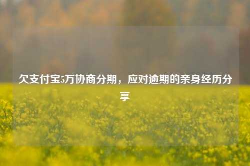 欠支付宝5万协商分期，应对逾期的亲身经历分享