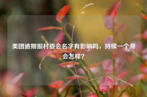 美团逾期报村委会名字有影响吗，持续一个月会怎样？