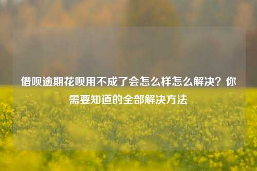 借呗逾期花呗用不成了会怎么样怎么解决？你需要知道的全部解决方法