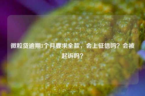 微粒贷逾期3个月要求全款，会上征信吗？会被起诉吗？