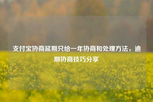 支付宝协商延期只给一年协商和处理方法，逾期协商技巧分享