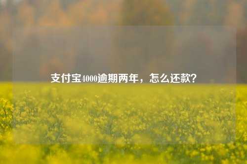 支付宝4000逾期两年，怎么还款？