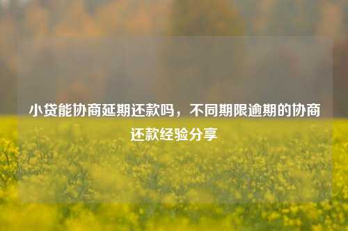 小贷能协商延期还款吗，不同期限逾期的协商还款经验分享