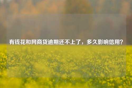 有钱花和网商贷逾期还不上了，多久影响信用？