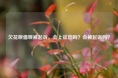 欠花呗借呗被起诉，会上征信吗？会被起诉吗？