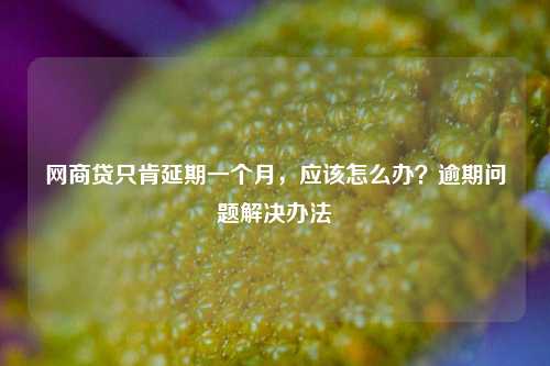 网商贷只肯延期一个月，应该怎么办？逾期问题解决办法