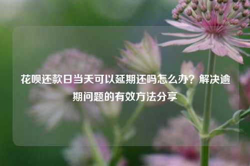 花呗还款日当天可以延期还吗怎么办？解决逾期问题的有效方法分享