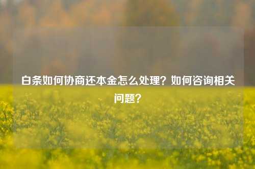 白条如何协商还本金怎么处理？如何咨询相关问题？