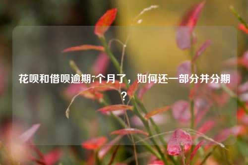 花呗和借呗逾期7个月了，如何还一部分并分期？