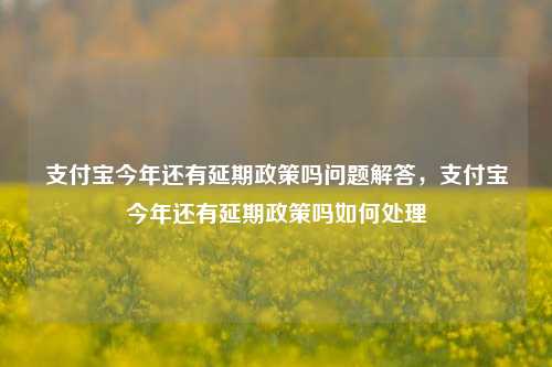 支付宝今年还有延期政策吗问题解答，支付宝今年还有延期政策吗如何处理