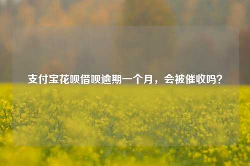 支付宝花呗借呗逾期一个月，会被催收吗？