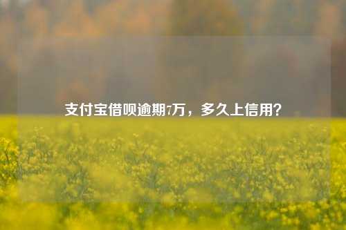 支付宝借呗逾期7万，多久上信用？