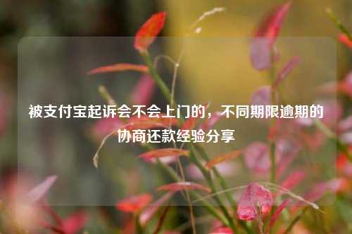 被支付宝起诉会不会上门的，不同期限逾期的协商还款经验分享