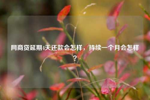 网商贷延期4天还款会怎样，持续一个月会怎样？