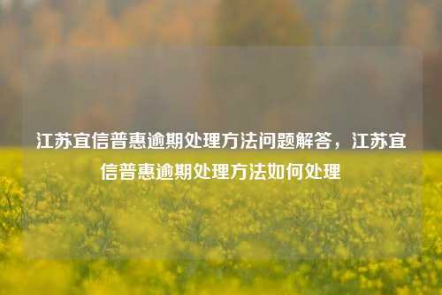 江苏宜信普惠逾期处理方法问题解答，江苏宜信普惠逾期处理方法如何处理