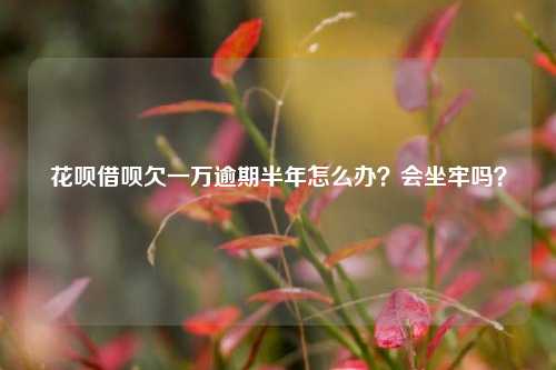 花呗借呗欠一万逾期半年怎么办？会坐牢吗？