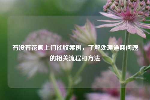 有没有花呗上门催收案例，了解处理逾期问题的相关流程和方法