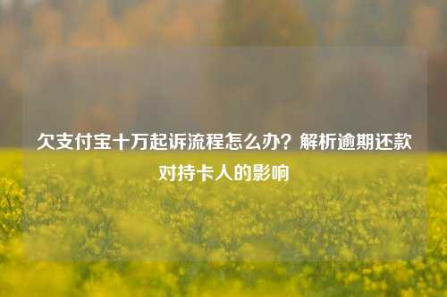 欠支付宝十万起诉流程怎么办？解析逾期还款对持卡人的影响