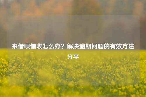 来借呗催收怎么办？解决逾期问题的有效方法分享