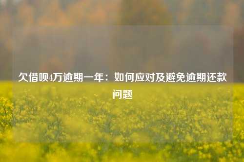 欠借呗4万逾期一年：如何应对及避免逾期还款问题