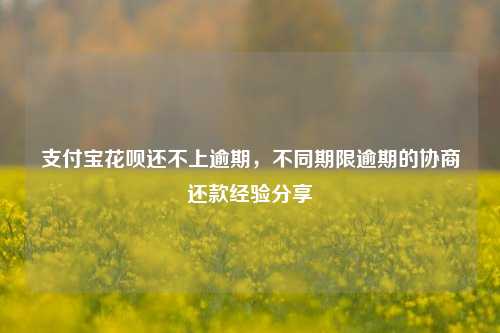 支付宝花呗还不上逾期，不同期限逾期的协商还款经验分享