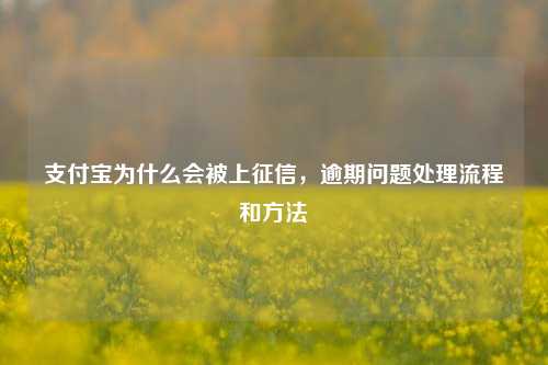 支付宝为什么会被上征信，逾期问题处理流程和方法