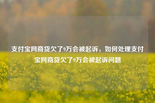 支付宝网商贷欠了9万会被起诉，如何处理支付宝网商贷欠了9万会被起诉问题