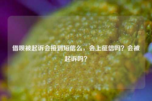 借呗被起诉会接到短信么，会上征信吗？会被起诉吗？