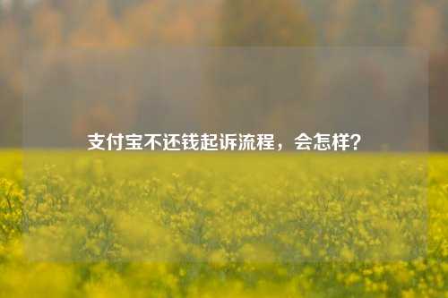 支付宝不还钱起诉流程，会怎样？