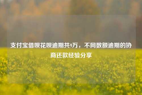 支付宝借呗花呗逾期共9万，不同数额逾期的协商还款经验分享