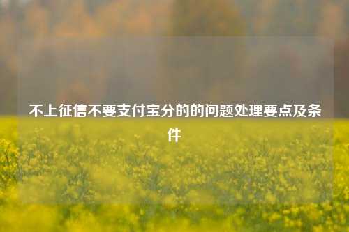 不上征信不要支付宝分的的问题处理要点及条件