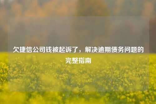 欠捷信公司钱被起诉了，解决逾期债务问题的完整指南