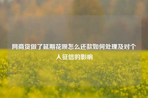 网商贷做了延期花呗怎么还款如何处理及对个人征信的影响