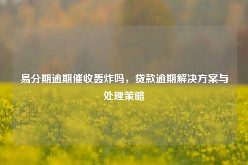 易分期逾期催收轰炸吗，贷款逾期解决方案与处理策略