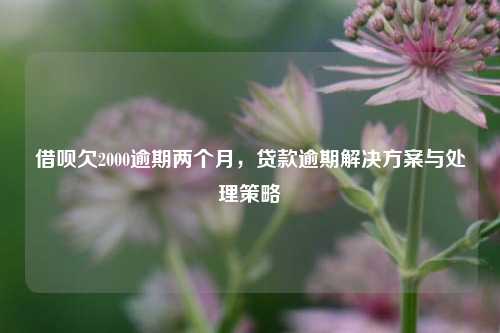 借呗欠2000逾期两个月，贷款逾期解决方案与处理策略