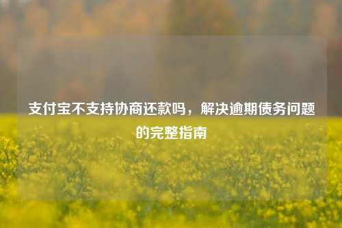 支付宝不支持协商还款吗，解决逾期债务问题的完整指南