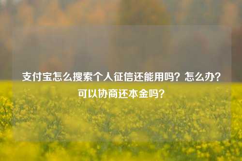 支付宝怎么搜索个人征信还能用吗？怎么办？可以协商还本金吗？