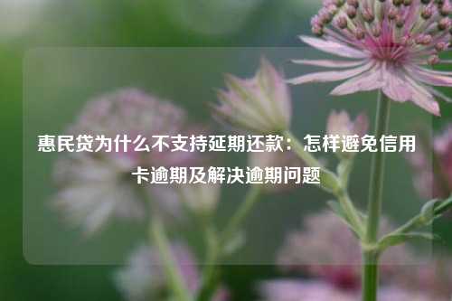 惠民贷为什么不支持延期还款：怎样避免信用卡逾期及解决逾期问题