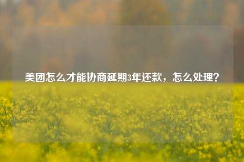 美团怎么才能协商延期3年还款，怎么处理？