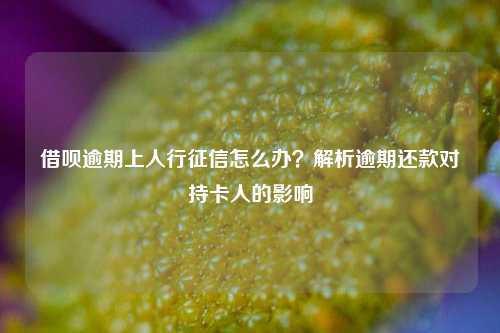 借呗逾期上人行征信怎么办？解析逾期还款对持卡人的影响