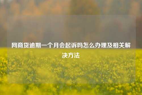 网商贷逾期一个月会起诉吗怎么办理及相关解决方法