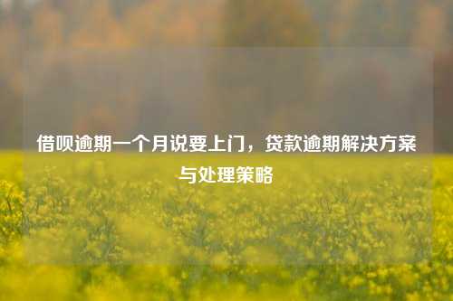 借呗逾期一个月说要上门，贷款逾期解决方案与处理策略