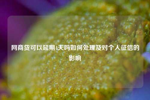 网商贷可以延期4天吗如何处理及对个人征信的影响