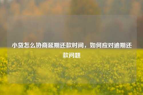 小贷怎么协商延期还款时间，如何应对逾期还款问题