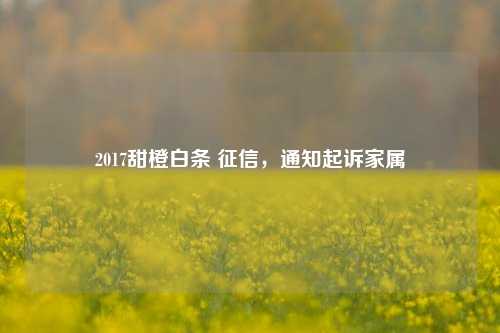 2017甜橙白条 征信，通知起诉家属