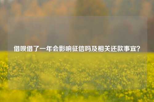 借呗借了一年会影响征信吗及相关还款事宜？