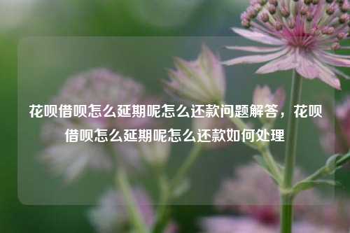 花呗借呗怎么延期呢怎么还款问题解答，花呗借呗怎么延期呢怎么还款如何处理