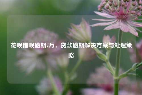 花呗借呗逾期7万，贷款逾期解决方案与处理策略